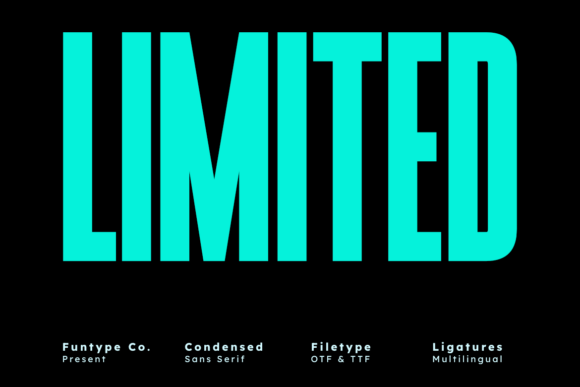 Limited: The Bold Sans Serif for High-Impact Design